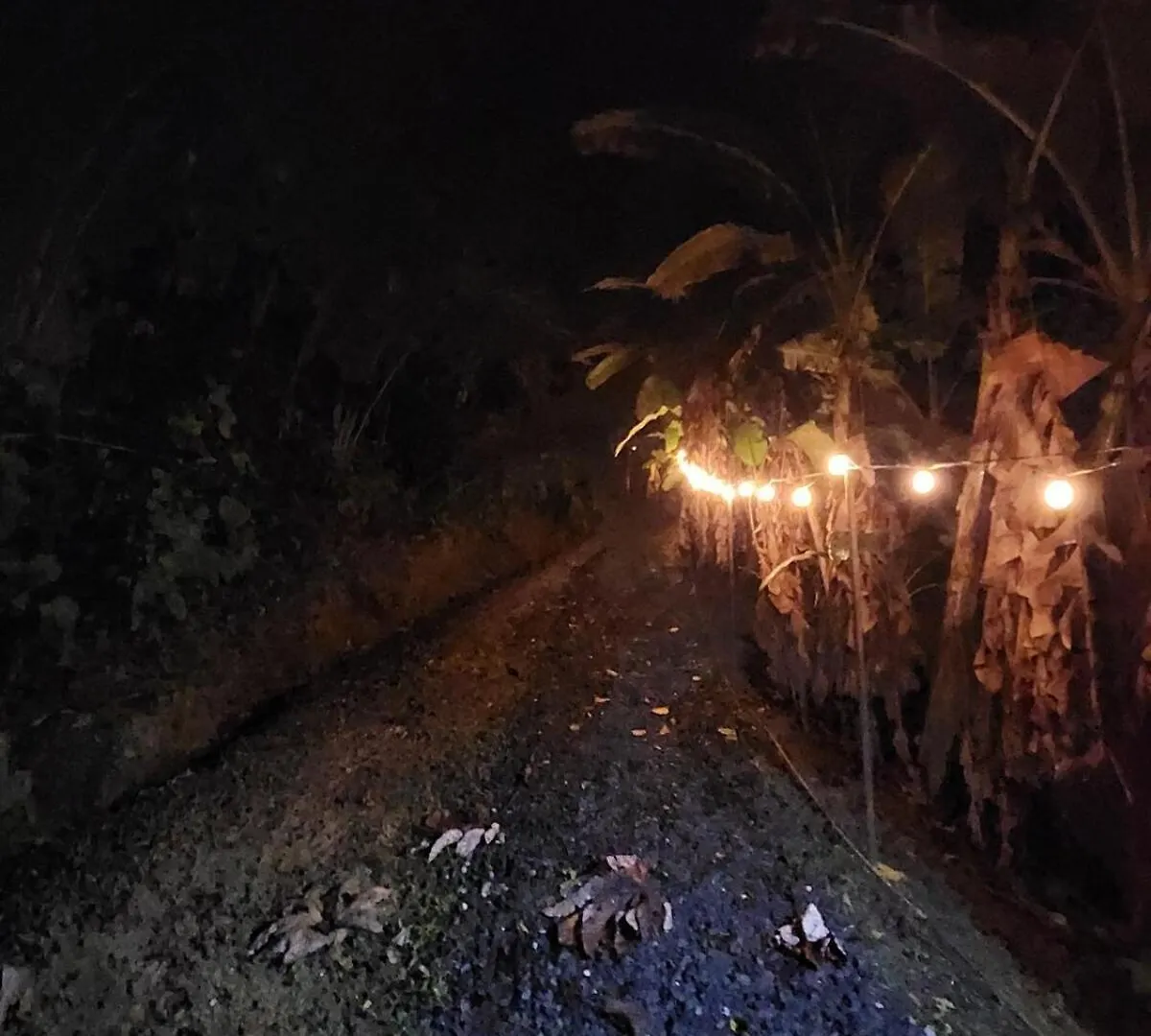 Sierra Linda Glamping Hotel Aibonito